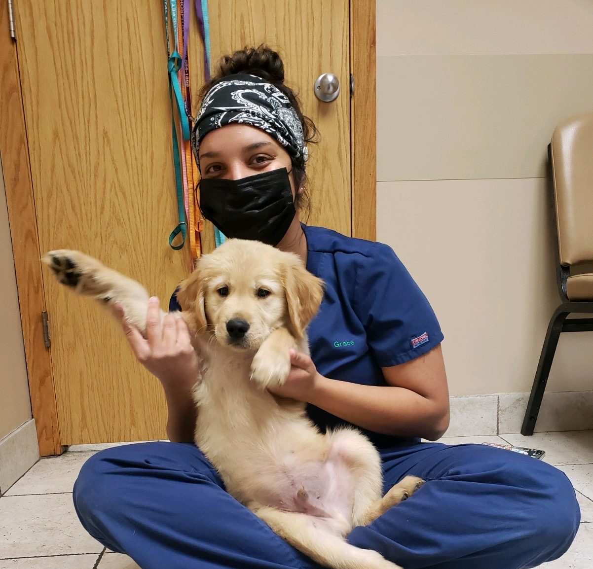 dog care basics