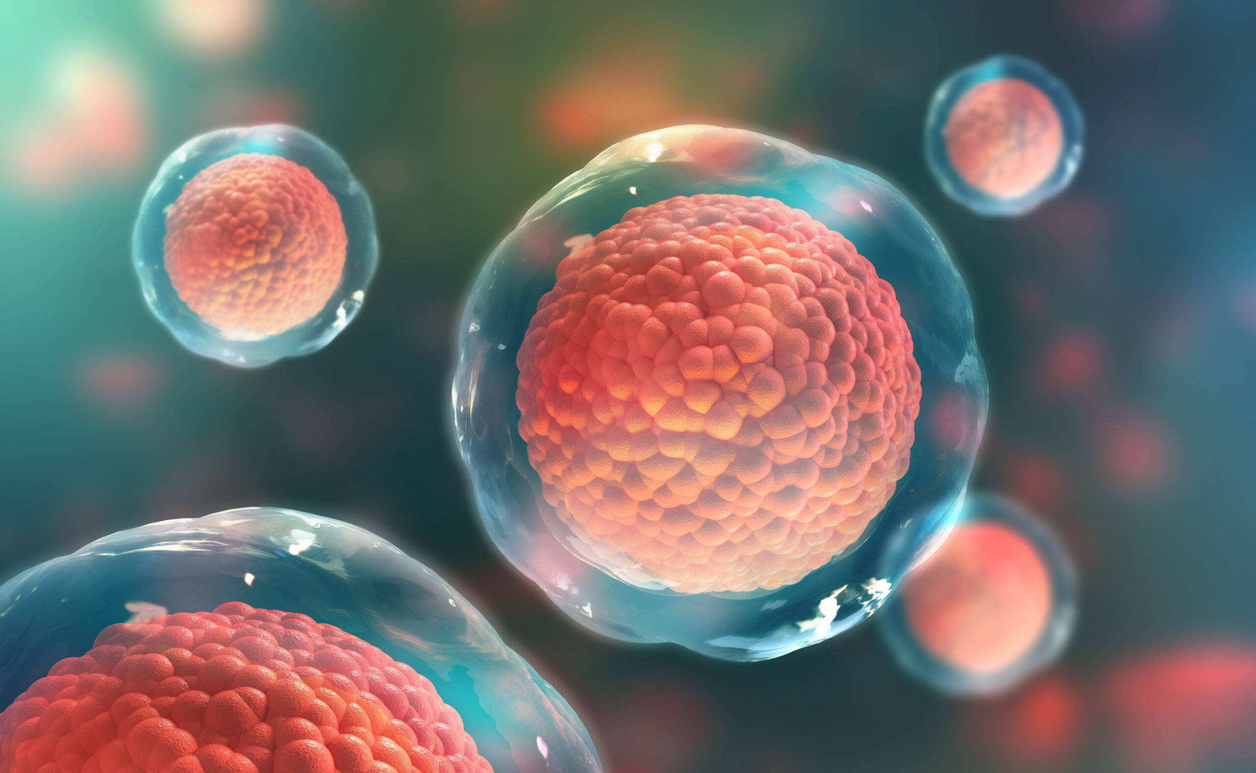 how much does stem cell therapy cost