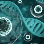 is stem cell therapy safe